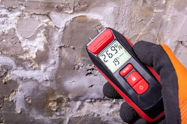 Best Fast Mold Removal  in Decatur, AR