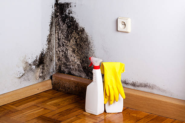 Best Crawl Space Mold Removal  in Decatur, AR