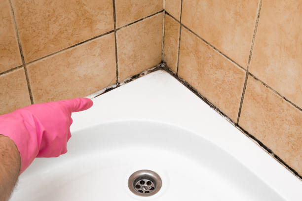 Best Best Mold Removal Companies  in Decatur, AR